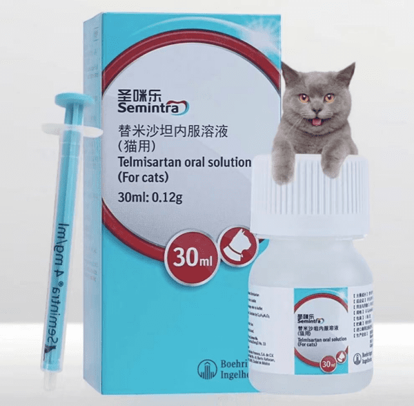 セミントラ（Semintra）猫用経口液