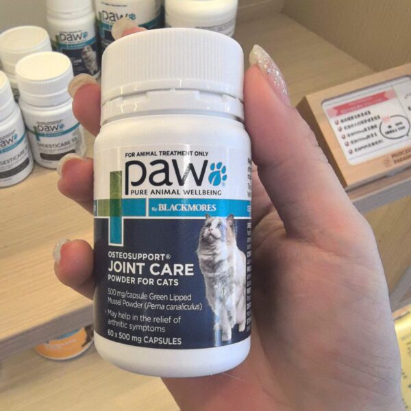オステオサポートジョイントケアパウダー（Osteo Support Joint Care Powder）猫用関節サポート剤