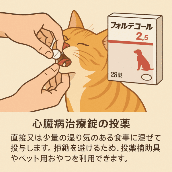 フォルテコール投薬方法図解