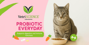 プロバイオティックエブリディ（Probiotic Everyday）猫用経口サプリメント