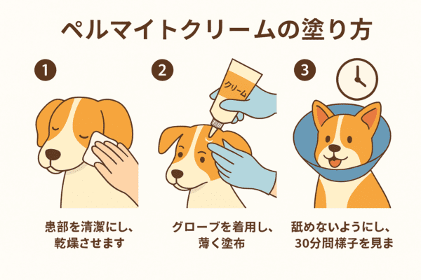 ペルマイトクリーム塗布方法図解