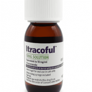 イトラコナゾール（Itraconazole）経口溶液 猫用抗真菌薬